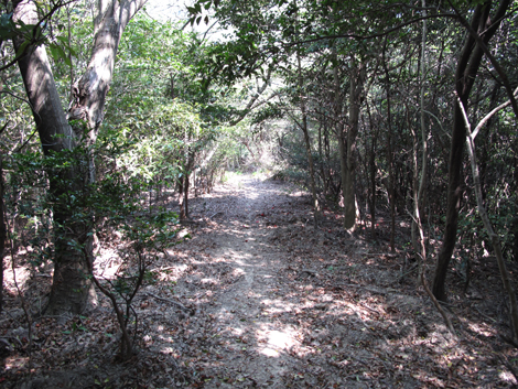 20140426hike (116)